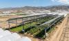 Spain launches national map of agrivoltaic projects