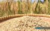 MPs Call For Wider Padi Cultivation, Technology Adoption, Stronger Farmer Protection
