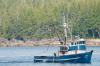 Alaska commercial salmon harvest trailing 2025 catch