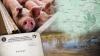 Intensive pig-farming in Hungary and Romania: Heavy pollution of the groundwaters covered by a bureaucratic scheme