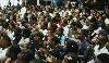Amplify 2026 to convene over 1,000 creative entrepreneurs on ‘The Business of Live’