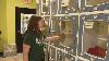 Central Missouri Humane Society says extra-busy kitten season has it full and stressed