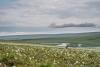 Under new agreement, federal government limits obstacles to oil leasing in Alaska’s Arctic refuge