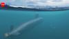 Indonesia's new Scorpène submarine can stay at sea for 80 days: Here's what makes it special