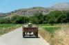 Greek farm scandal: EU prosecutor appeals acquittal over repaid CAP funds