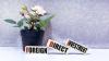 Following two years of decline, global FDI flows are on the rise again – report 