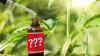 Analysis: Many Hemp-Derived CBD Products Lack Accurate Labeling