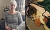 Hungarian teenager, 16, attacks elderly couple in their own home in terrifying robbery that left their beloved dog dead