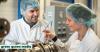 Crespel & Deiters Strikes Deal to Scale Up Happy Plant Protein’s Dry Extrusion Tech