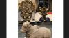Bhadrakali, Nandi, Kartikeya: Australia to return three ancient artefacts to India