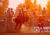 What to do in Colorado this week: Get roped into a rodeo in Golden, Gunnison, Steamboat Springs and more