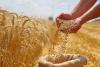 Star of the West launches STAR sustainability program