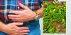 Warning to Britons as sexually transmitted gut infection now a 'distinct public health threat'