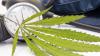 Review: CBD Dosing Reduces Blood Pressure in a Dose-Dependent Manner