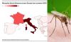 The European holiday hotspots battling deadly mosquito-borne diseases: Spain, France and Italy among popular destinations now affected by West Nile Virus and chikungunya