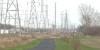 Consumers Energy restores 6.7K acres of land