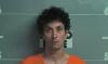 Ohio County man accused of almost striking officers with vehicle at checkpoint