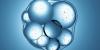 Scientists Built an Almost-Living Cell from Scratch. It Could Show Us How Life First Emerged.