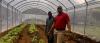 COMMENTARY: Building a stronger agricultural future through innovation, labour mobility and youth engagements