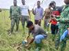 Mangrove restoration project in Dzita to create jobs, boost tourism and protect coastline 
