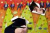 Maine Artist Film Series Kicks Off July 15
