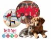 Non-Profit Advocacy: The Pet Project – A Lifeline for People and Pets