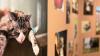New art exhibits open at Shreveport gallery