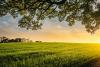 Africa’s Green Economy: turning Challenges into Opportunity