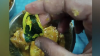 Woman's photo sticker found in Chattogram University dormitory food