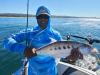 Sardines bring in the fish along KZN coast