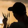 Illinois Women in Conservation moving forward