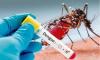 Health officials report 190 fresh cases of dengue inflection, 2 deaths overnight
