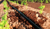 An irrigation system will be built in Moldova with funding from IFAD  