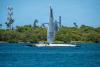 U.S. Navy Expands Unmanned Surface Vessel Operations at RIMPAC 2026 with Saildrone Surveyor