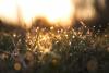 Hungary Breaks 64-year Cold Record After 42 C Heat Extreme