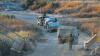Lebanon pilot zone to launch in coming days, US official says