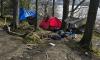 Lake District urges tourists to report 'fly-campers' who pitch up in beauty spots with cheap tents - to just abandon them after