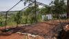 Protesters burn treatment centers, attack healthcare workers to retrieve bodies of Ebola victims
