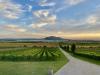 Cycling through the heart of Czechia’s wine country