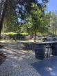 174 Winery Tasting Room in Cedar Ridge Celebrates Summer with the Opening of its Dog-Friendly Patio