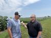 Iowa soybeans looking better as crop advances