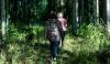 Latvian forestry company still restoring systems weeks after ransomware attack