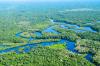 UN biodiversity pledge: Brazil’s strategy to protect nature and address climate change