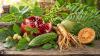 Review Finds 16 Traditional Medicinal Plants May Target Blood Sugar Pathways
