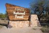 Arizona Man Pleads Guilty After Rangers Find Illegal Forest Camp Surrounded By 1,000 Pounds Of Trash