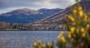 Dangerous chemicals linked to cancer found in water tests across Scotland