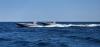 Europe’s newest defence unicorn raises $175m Series B