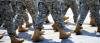 Alaska Senate Race Ads Mislead on Peltola’s Votes on Military Pay Raise