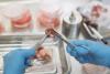 Maldives plans to establish first domestic autopsy facility