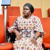 National Assembly Officer Testifies Before Supreme Court in Case Challenging Constitutionality of Law Banning FGM